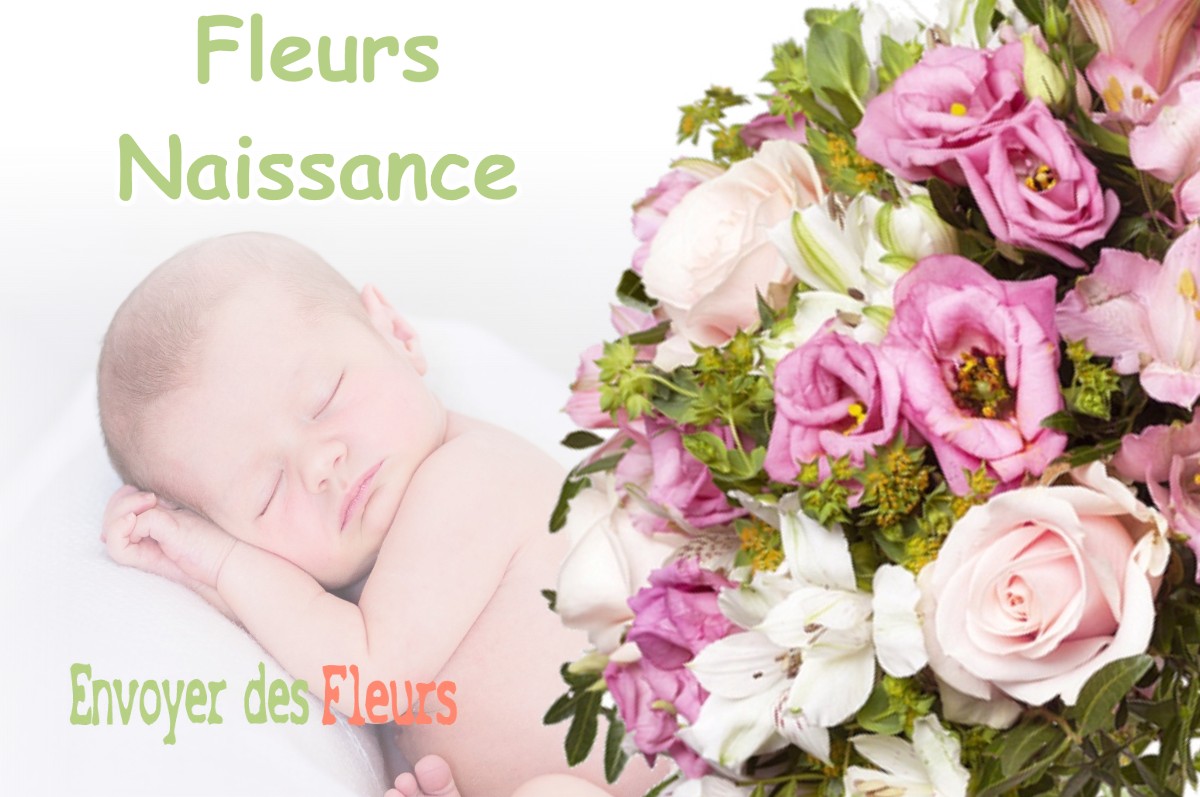 lIVRAISON FLEURS NAISSANCE à MUGRON